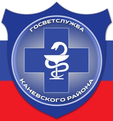 Главная